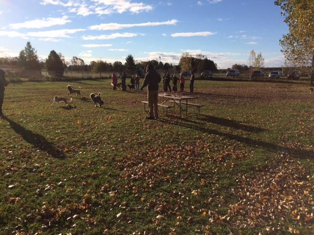 Sister Bay Dog Park-锡斯特贝必去景点