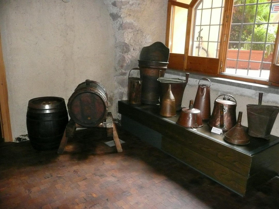 Sudtiroler Weinmuseum景点图片