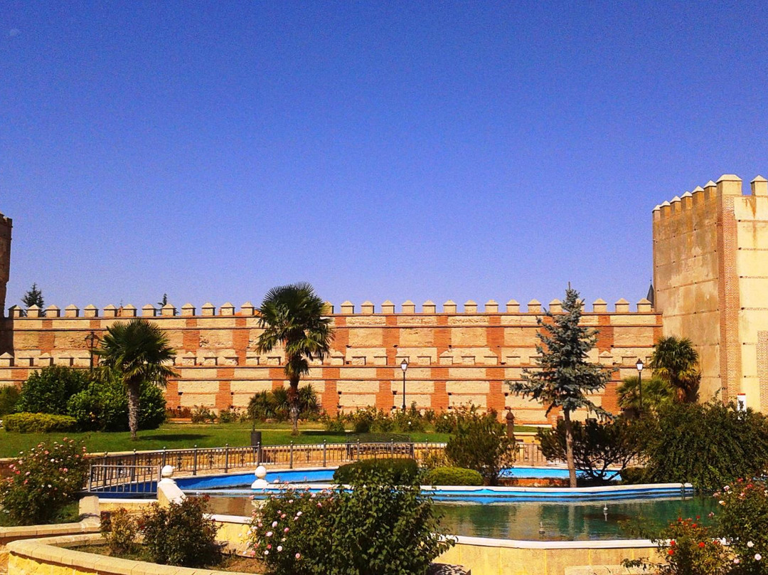 Madrigal de las Altas Torres旅游攻略图片