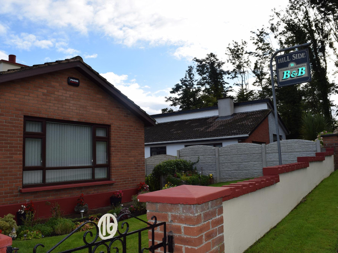 Hillside Bed and Breakfast Shannon主图