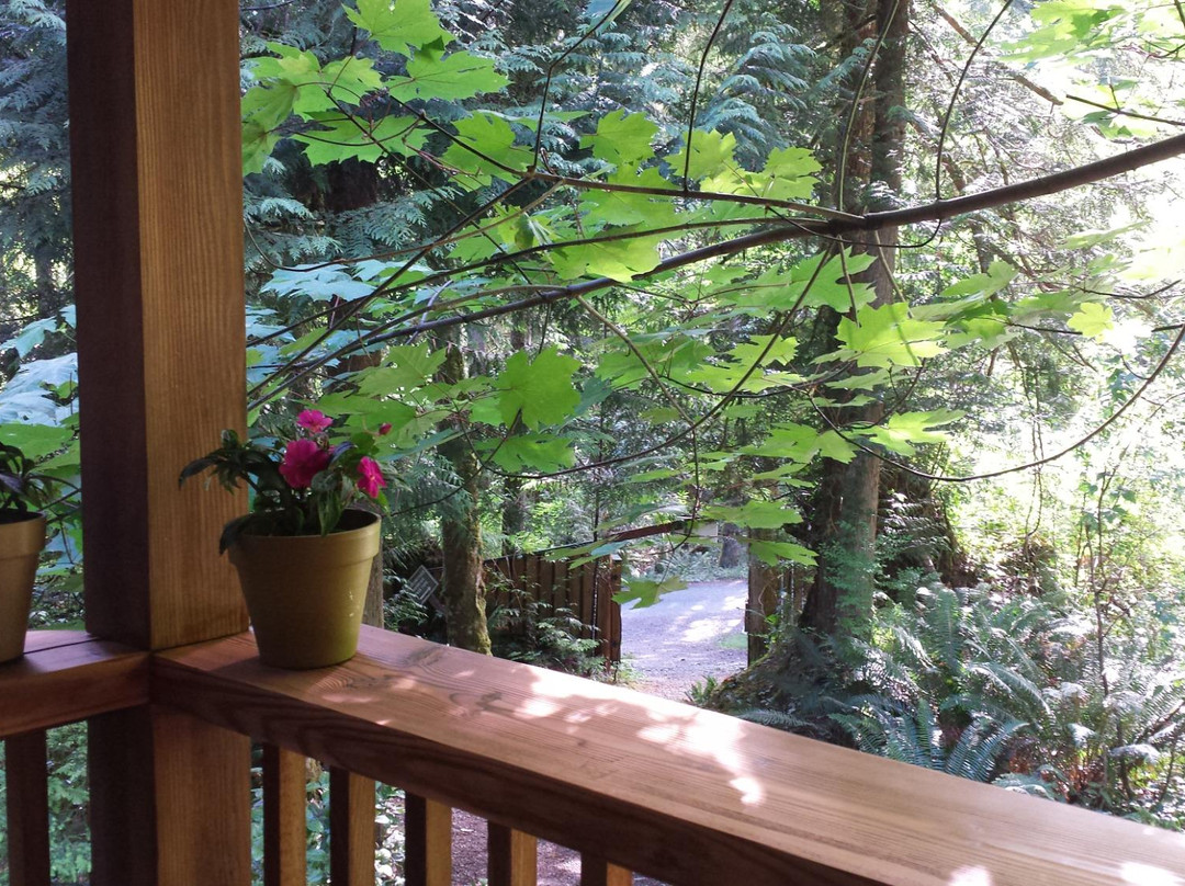 阳光海岸餐馆和美食-Skookumchuck Bakery & Cafe