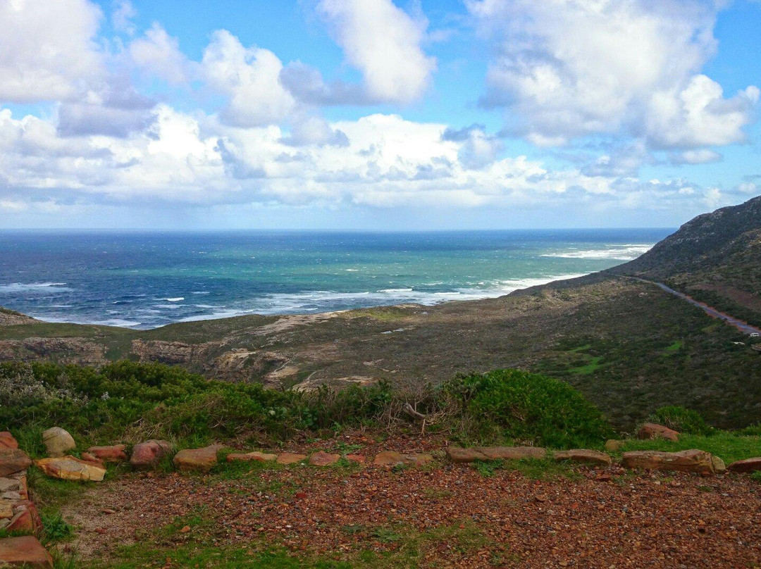 Cape of Good Hope-桌山国家公园必去景点