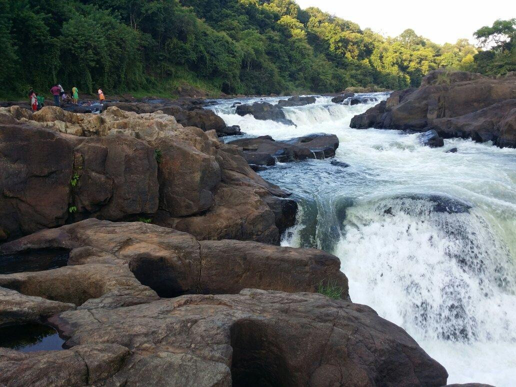 Perunthenaruvi Waterfall景点图片