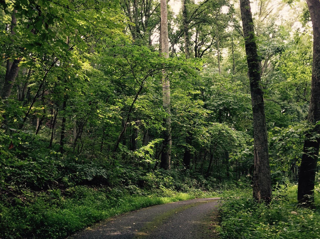 Buffalo Mountain Park-约翰逊城必去景点