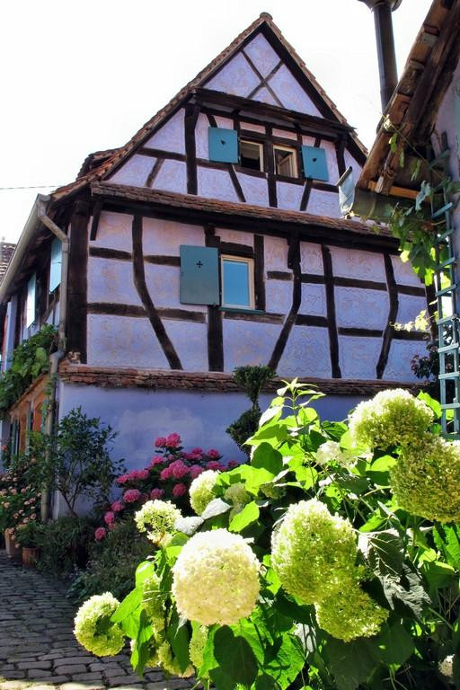 Jardin De La Ferme Bleue景点图片