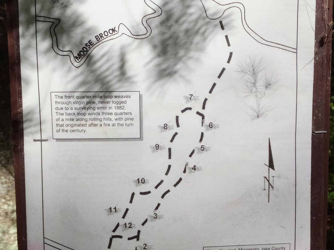 Chippewa National Forest-Cass Lake必去景点