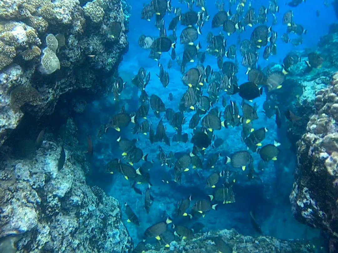 Utuko Beach-阿洛菲必去景点