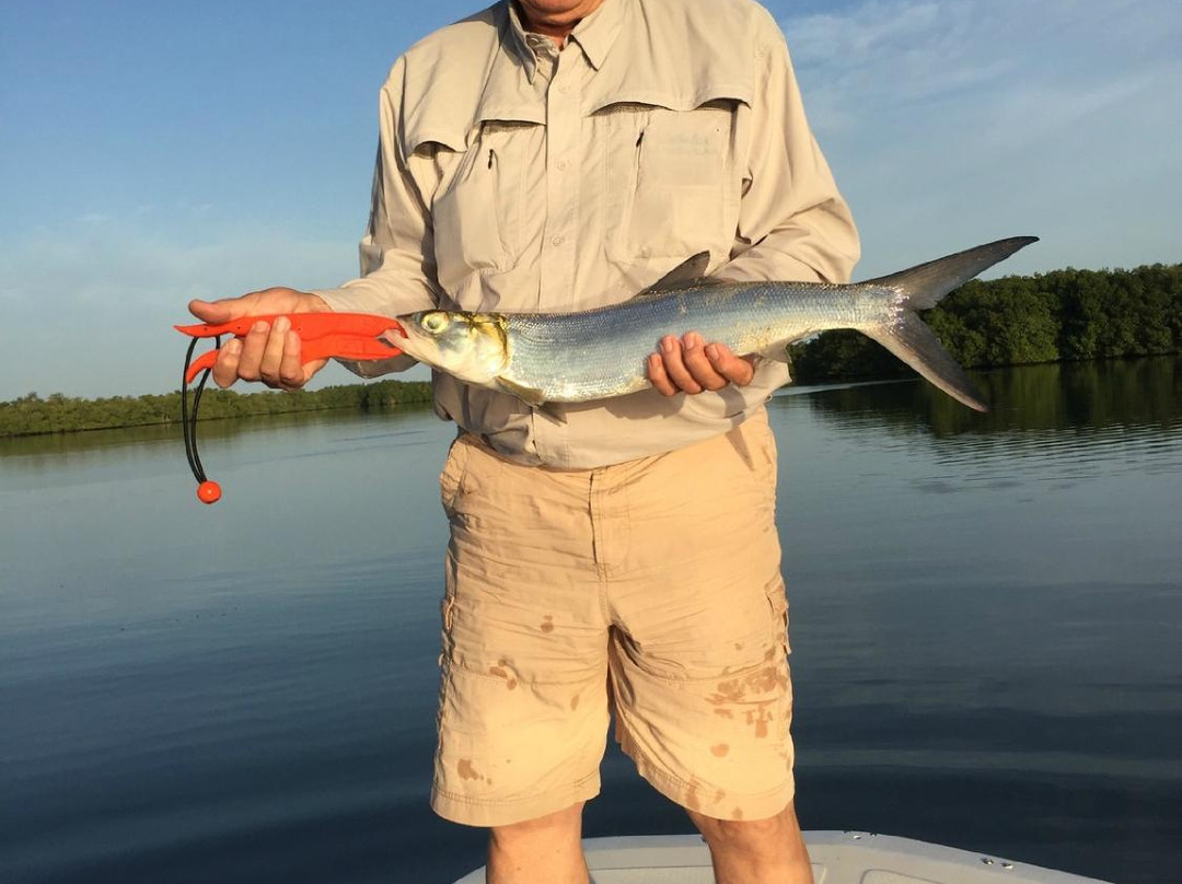 Light Tackle Adventure Tarpon Fishing-Cabo Rojo必去景点