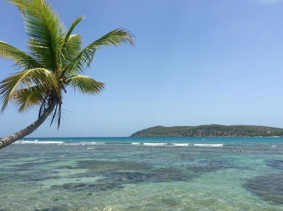 Antilles EcoQuest-Havensight必去景点