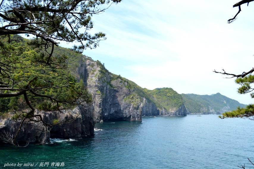 Omijima Nature Path-长门市必去景点