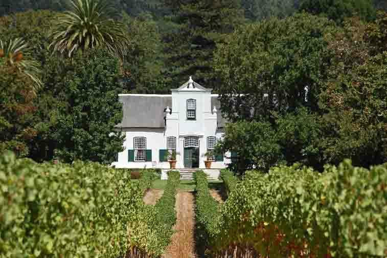 Adamastor & Bacchus - Tours-开普敦中心区必去景点