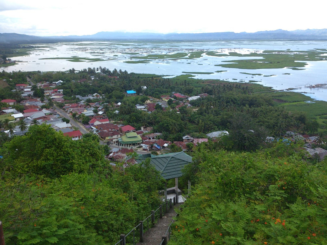 Otanaha Fortress景点图片