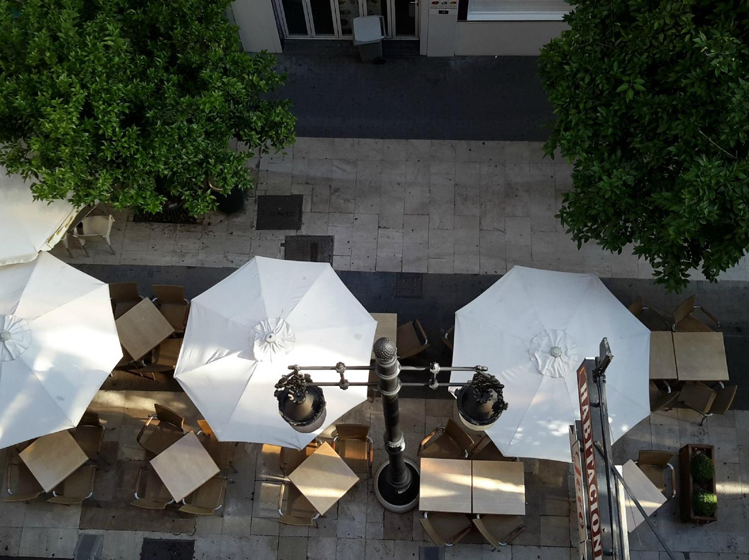 诺玛达斯杰罗酒店 瓦伦西亚主图