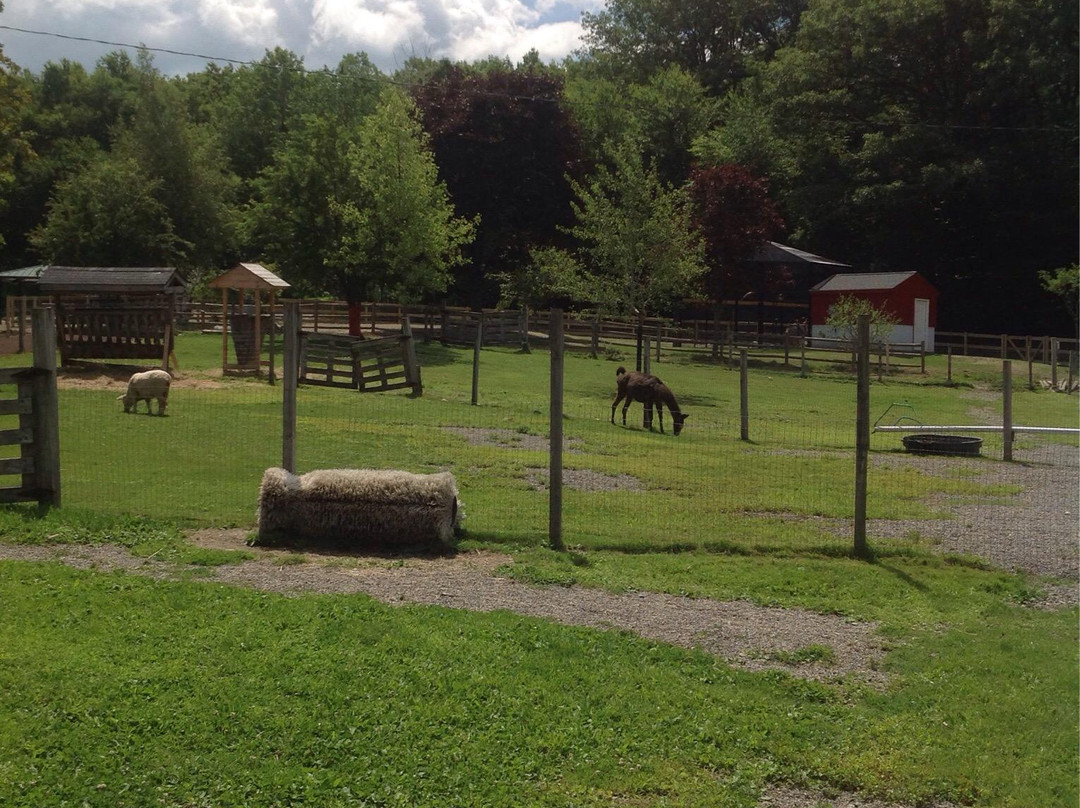 Green Hill Park Farm-伍斯特必去景点