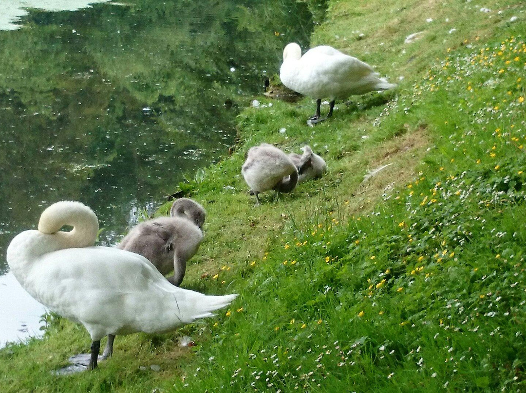 普赖尔公园景观花园-巴斯必去景点