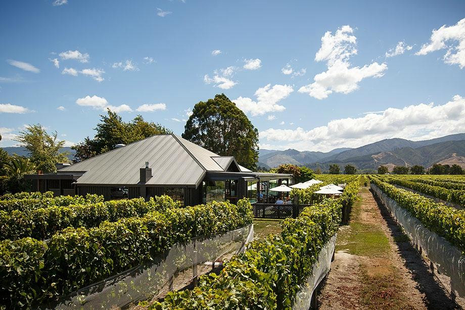 Saint Clair Family Estate Vineyard Kitchen景点图片