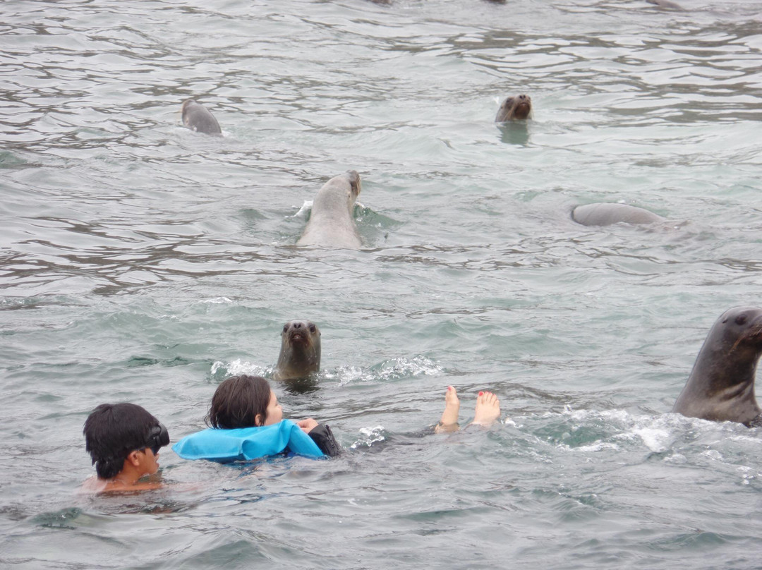 Islas Palomino-Callao必去景点