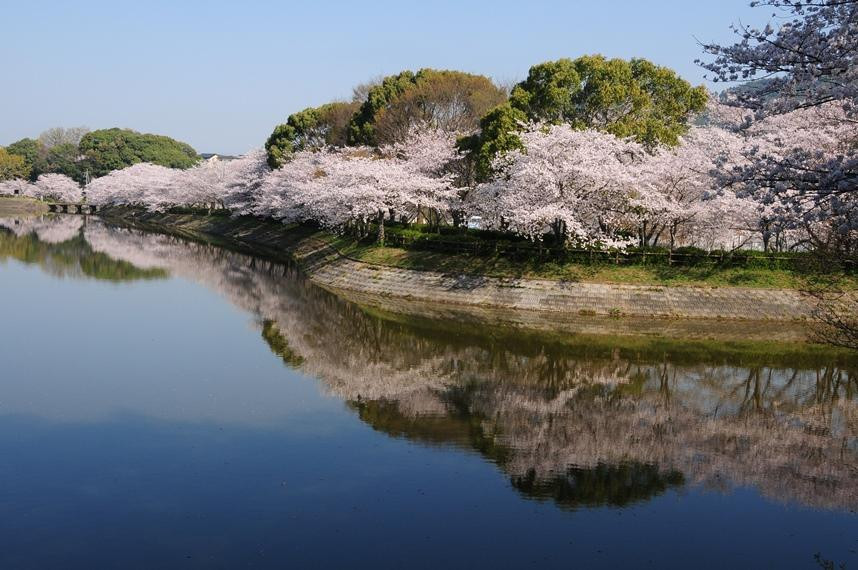 Tachioka Nature Park景点图片