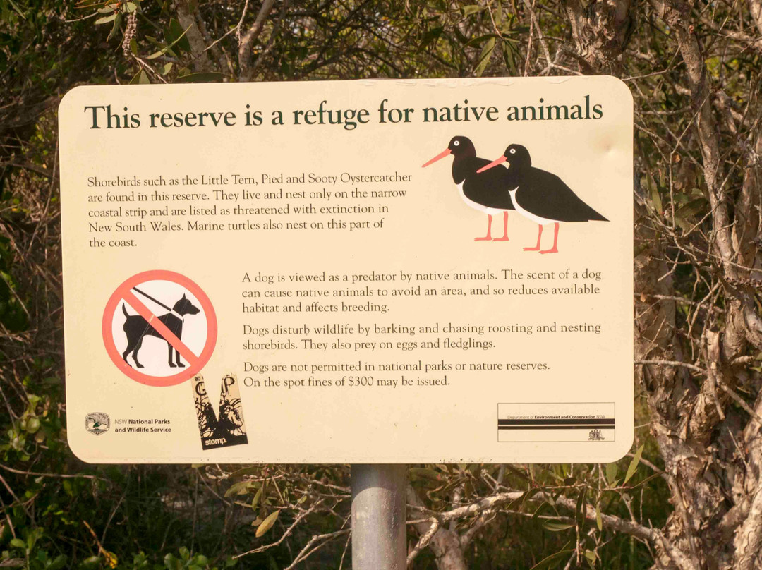 Broadwater National Park景点图片