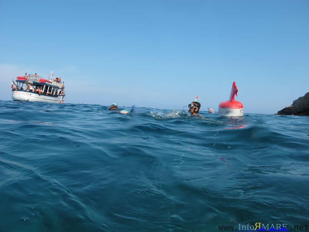 Isola Gallinara Tour-Andora必去景点