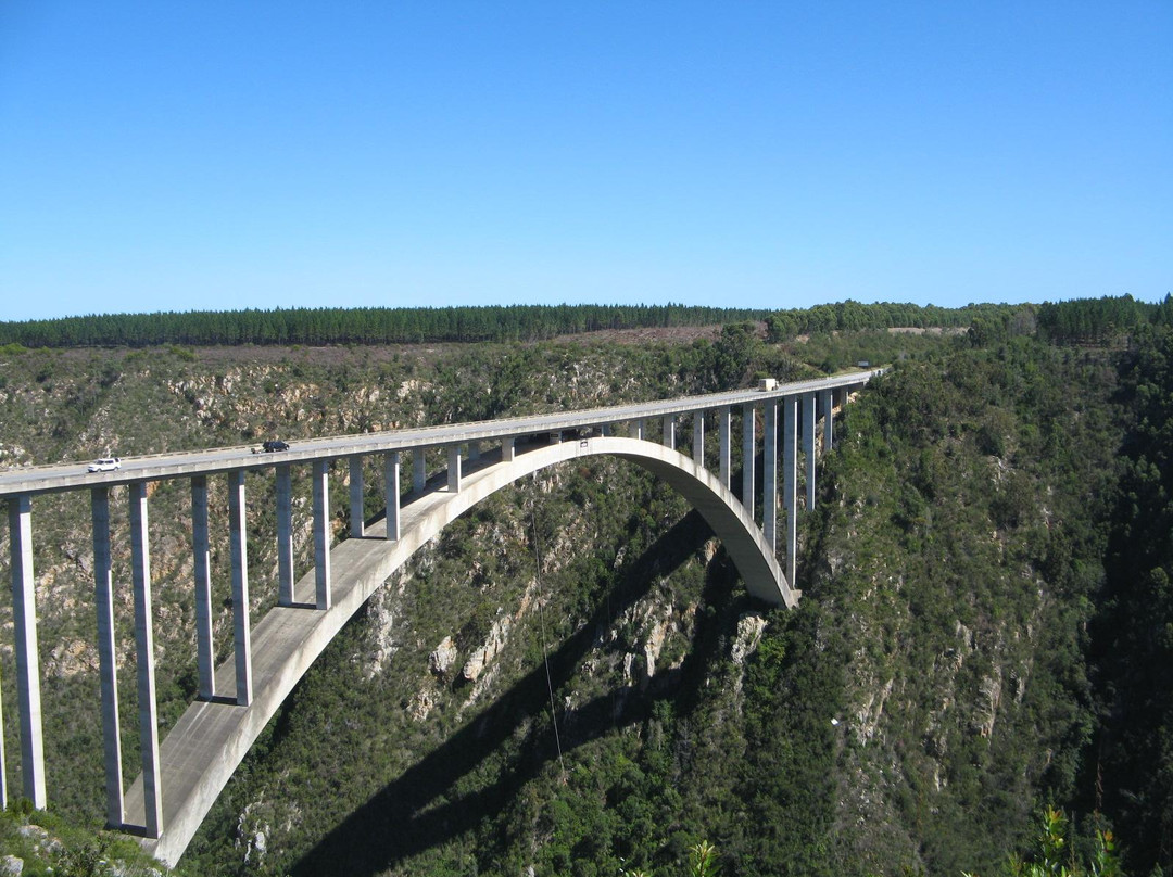 Bloukrans Bungy - Face Adrenalin-Tsitsikamma National Park必去景点