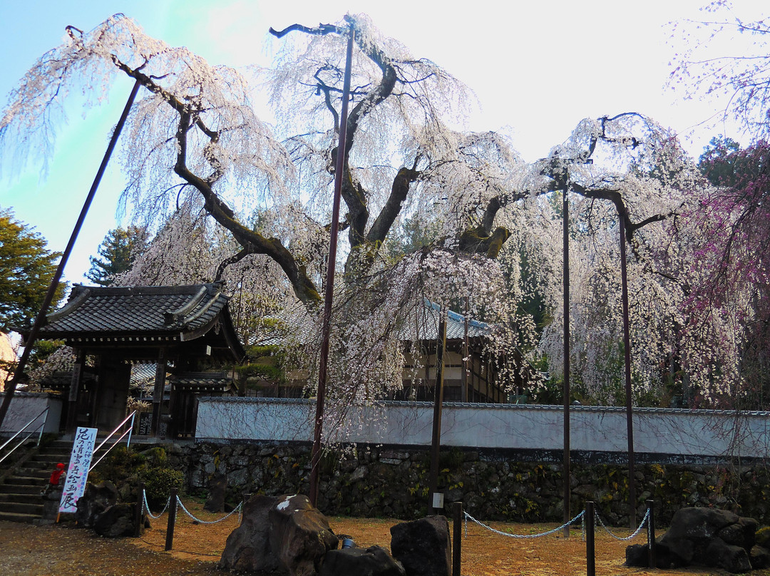 Seiunji Temple-秩父市必去景点