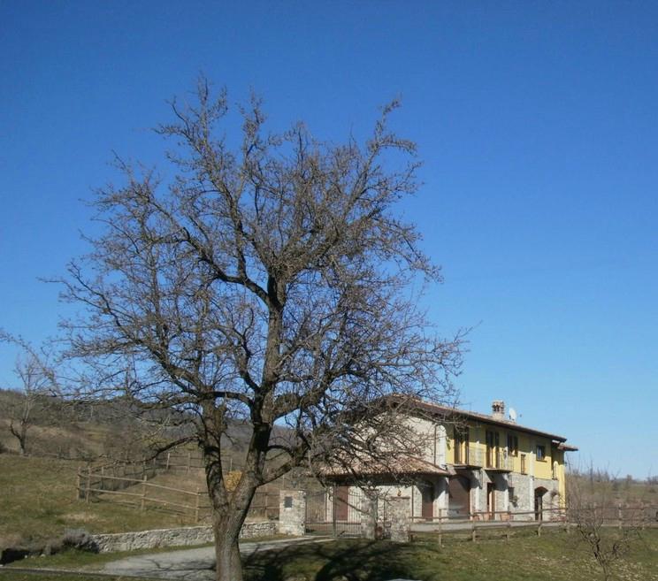 B&B Il Pero Selvatico-浴室