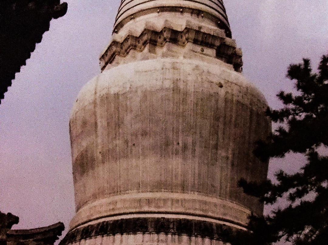 五台山生态园主图