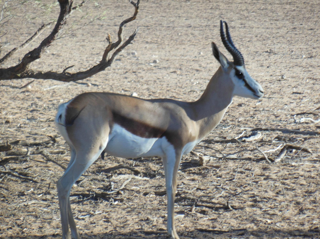 Macit Tours - Day Tours-桑顿必去景点