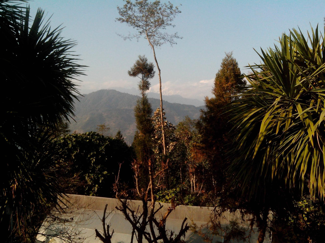 SPOT ON 63105 Barsay Jungle Camp主图