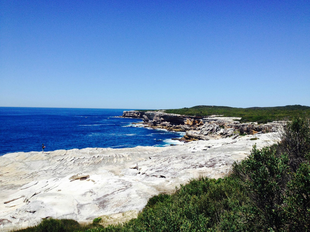 Cape Solander景点图片