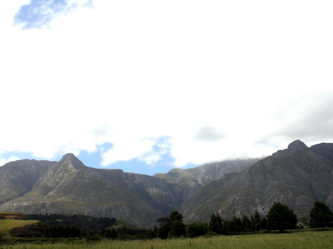 Wilderbraam Berry Estate-斯韦伦丹必去景点