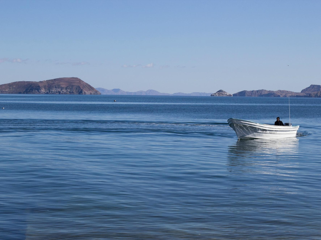 Guillermo's Hotel主图