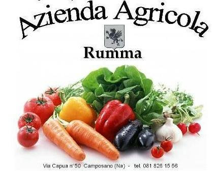 Azienda Agricola Rumma-Camposano必去景点