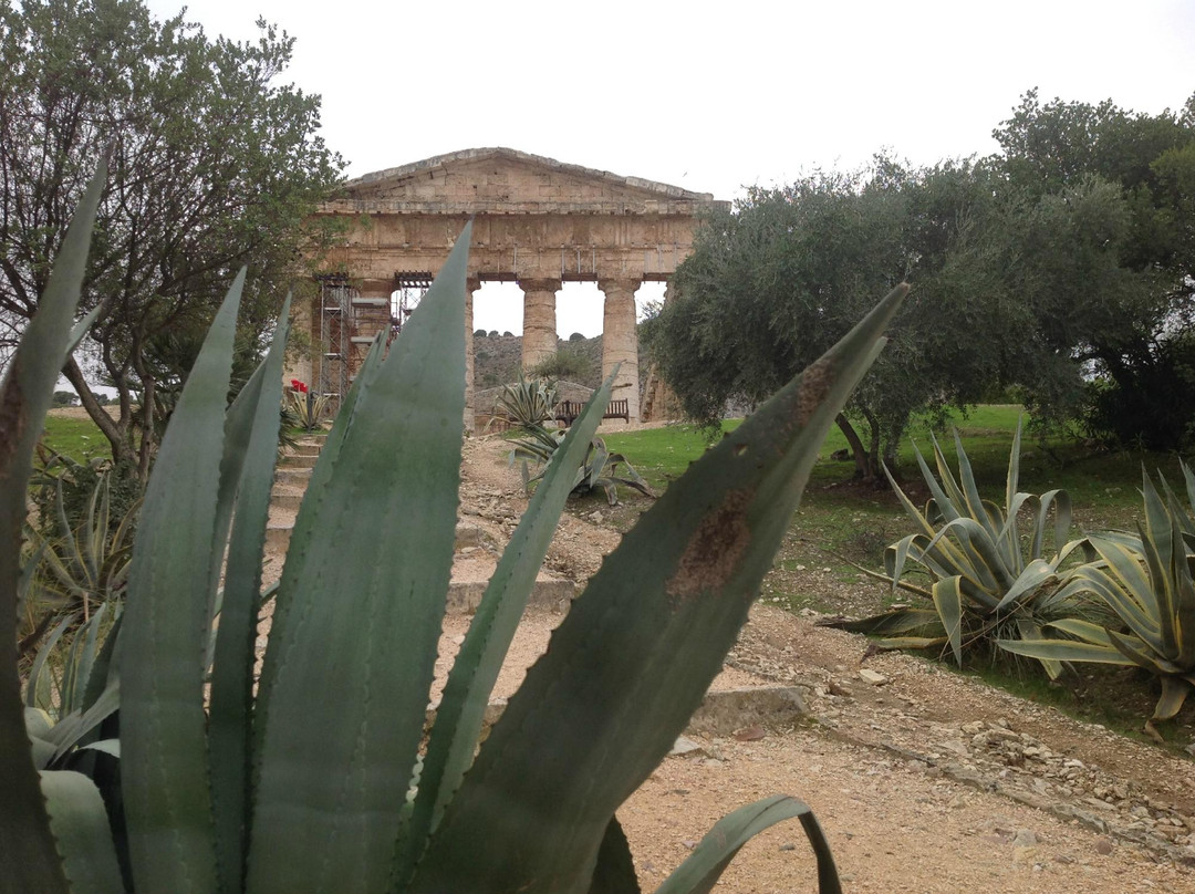 Taxi Taormina & Sicily Tours with Roberto景点图片
