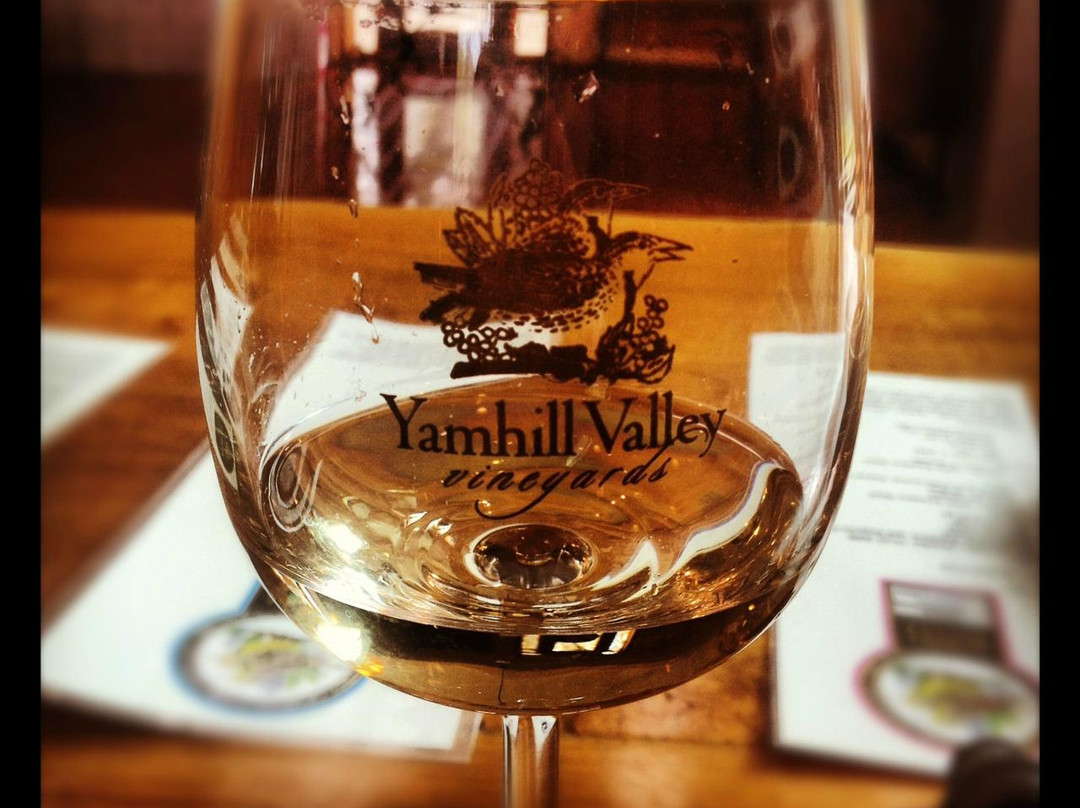 Yamhill Valley Vineyards-麦克明维尔必去景点