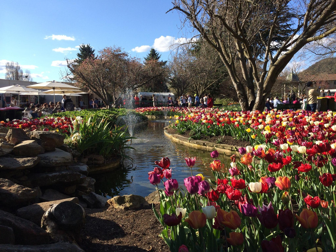The Corbett Gardens-鲍勒尔必去景点