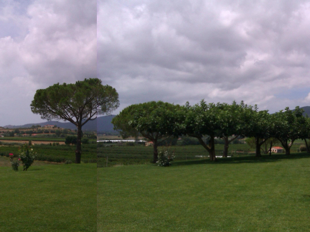 Fattoria Le Mortelle景点图片