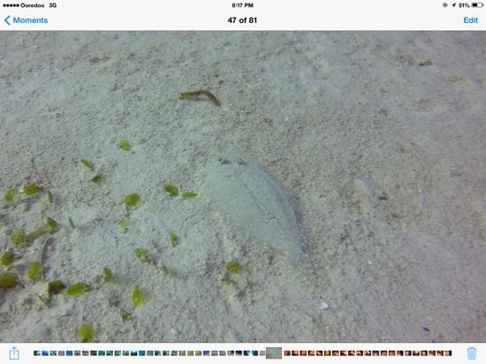 Dohna Dives-邦劳岛必去景点