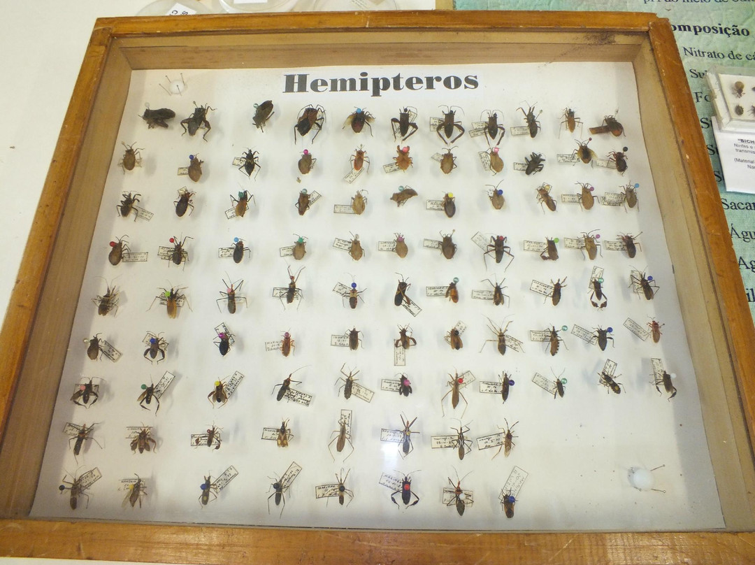 Museu Dinamico Interdisciplinar-Maringa必去景点