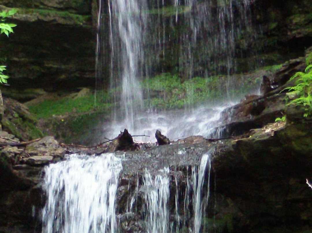 Horseshoe Falls-缪尼辛必去景点