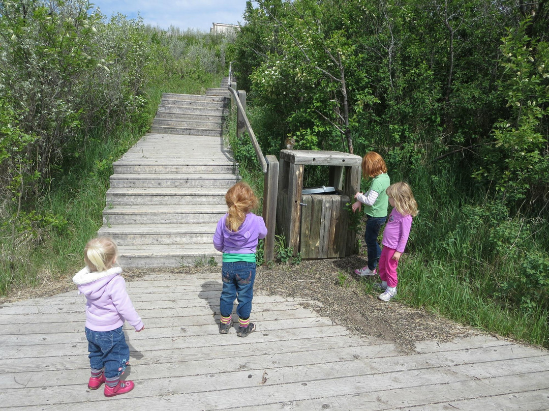 Beaver Creek Conservation Area-萨斯卡通必去景点