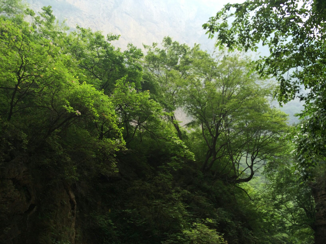 重庆黑山景点图片