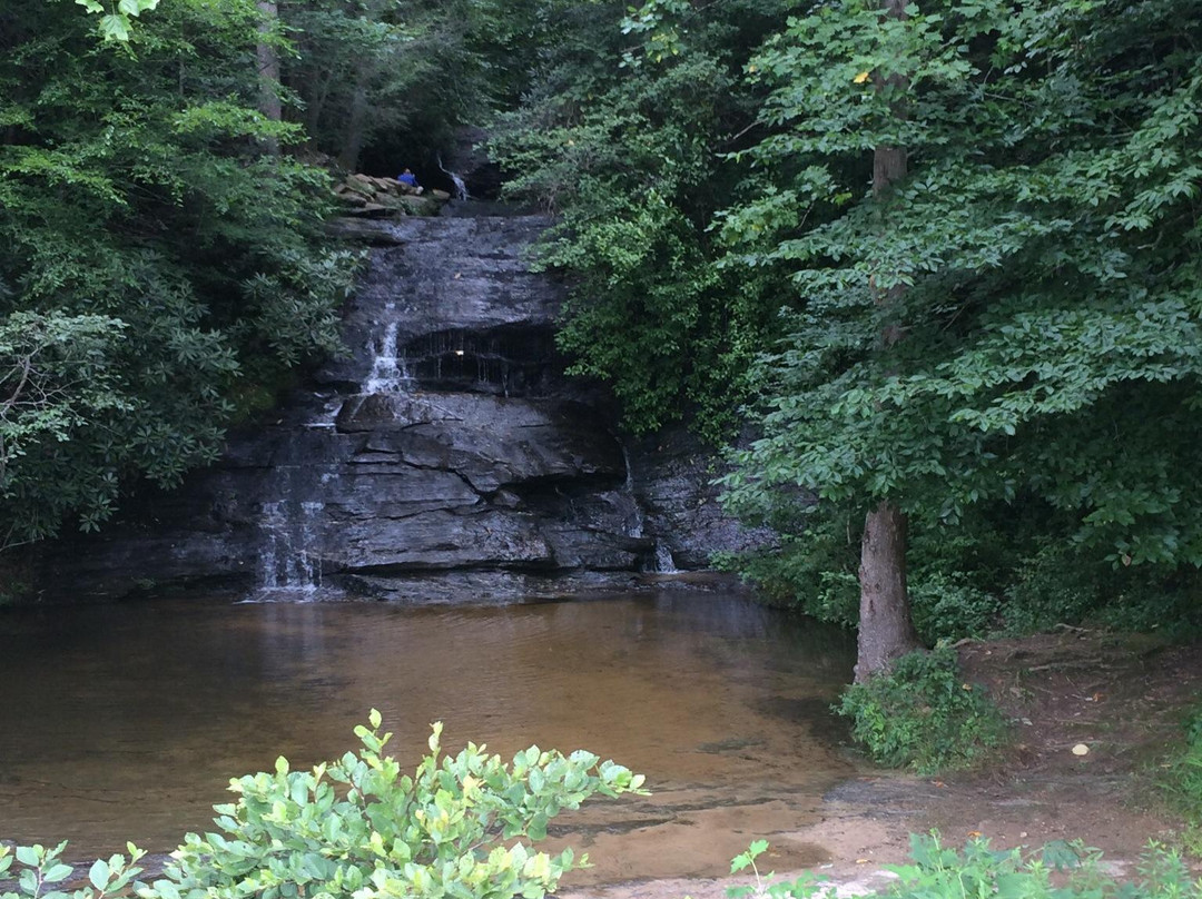 Wildcat Wayside Mountain Bridge Wilderness Area景点图片