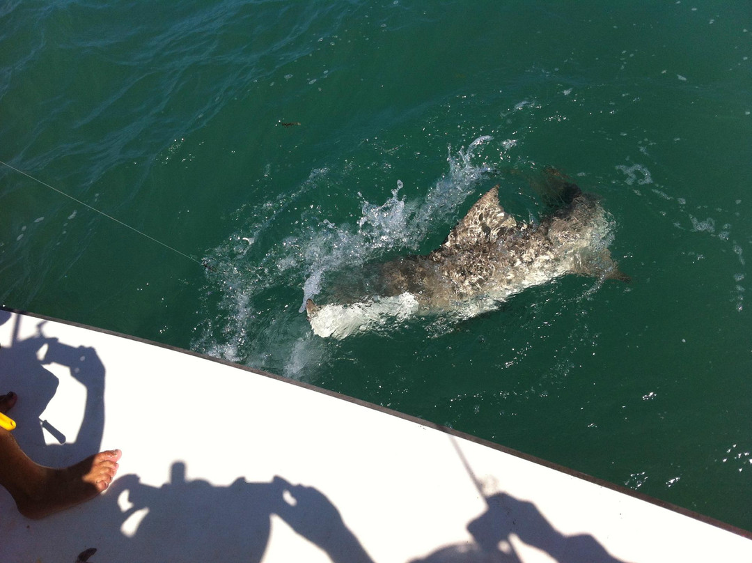 Arafura Bluewater Charters-达尔文市必去景点
