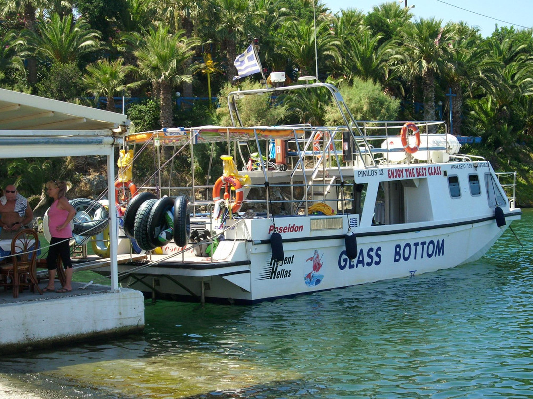 Glass Bottom Boat Poseidon Day Trips-赫索尼索斯必去景点