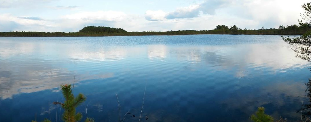 Luhasoo Nature Trail-Rouge必去景点