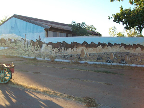 Camooweal旅游攻略图片