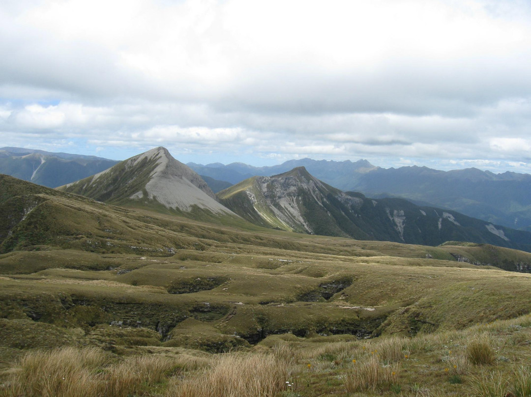 Karamea Helicopter Charters景点图片