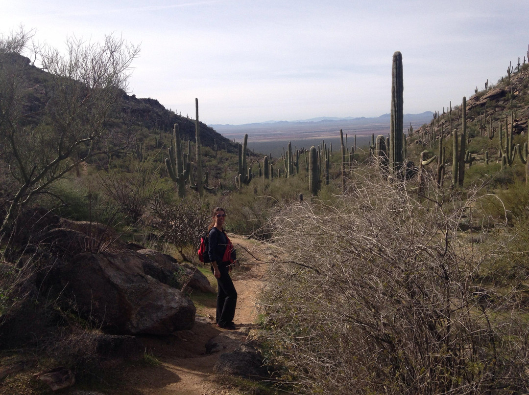 Ritz Carlton Golf Course Dove Mountain-马拉纳必去景点